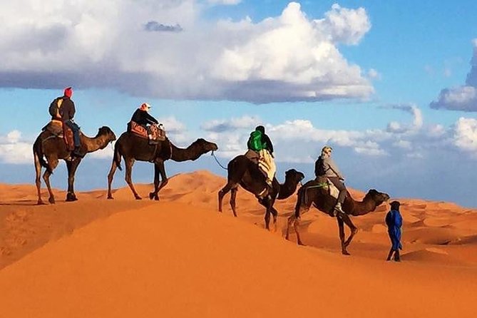 2 night camel trekking in merzouga desert - Key points to know before you go
