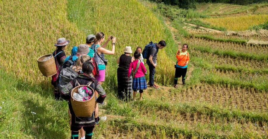 2 Night Lao Chai-Ta Van Homestay- Trekking & Fansipan Visit - Who this tour suits best