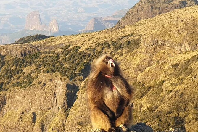 2 Nights 3 Days Trek to Semien Mountain - Key Things You’ll Really Notice