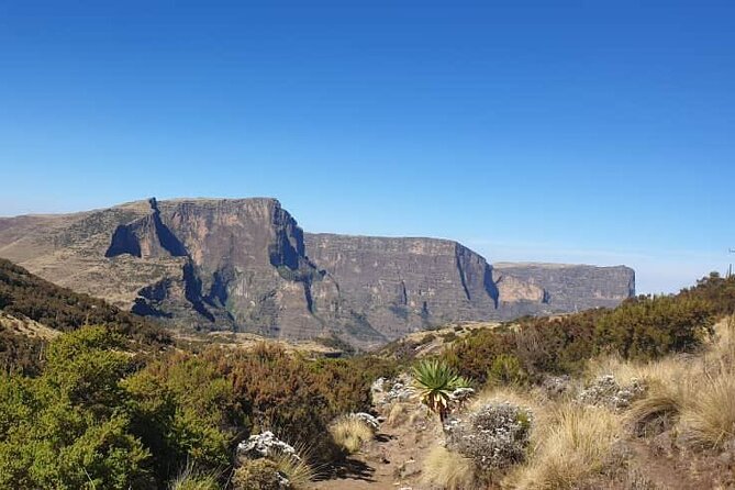 2 Nights 3 Days Trek to Semien Mountain - Why the Simien Mountains Trek Fits the Northern Circuit