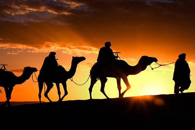 2 Nights in Luxury Camp and Camel Trekking in Merzouga Desert - Key highlights you’ll care about