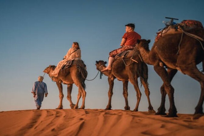 2 Nights in Luxury Camp and Camel Trekking in Merzouga Desert - Price and value: is $168.66 a good deal?
