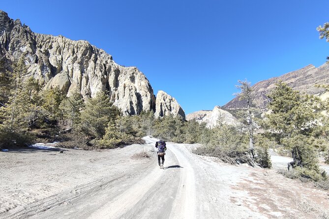 20 Days Annapurna Circuit Trek - Lete to Tatopani: Big Weather and Vegetation Changes on the Same Trek