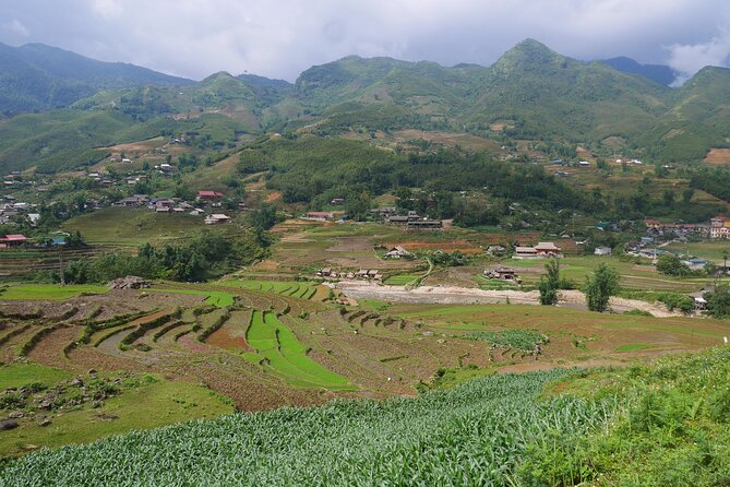 2D1N Buffalo trek by Hmong Sister House and Trekking - The guide makes it: Li’s stories and why English matters