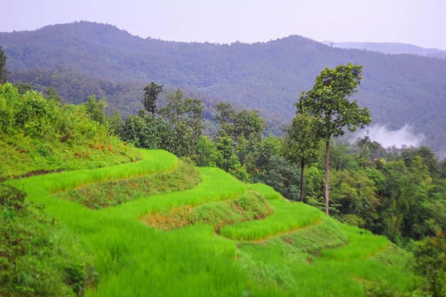 2days 1night : Trekking with Karen people and Doi Inthanon - Karen village night: why this part feels different
