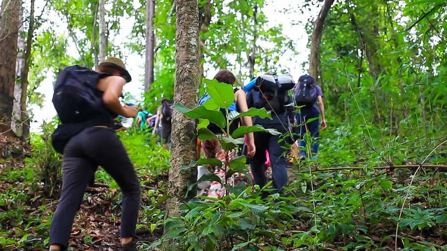 2days 1night : Trekking with Karen people and Doi Inthanon - Day 2 in Doi Inthanon: highest peak, planned paths, and real forest mood