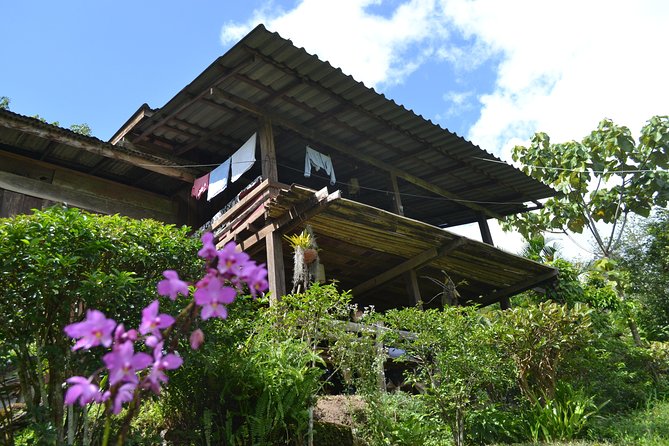 3-Day Chiang Dao Mountain Trek - Key points worth your attention