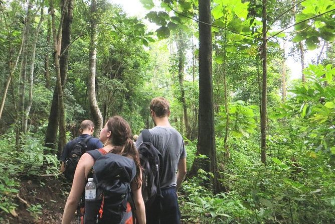 3-Day Chiang Dao Mountain Trek - Your guide makes or breaks this kind of trek