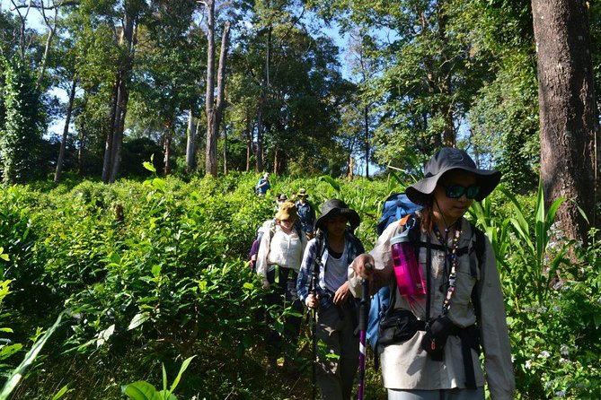 3-Day Chiang Dao Mountain Trek - Homestay nights: authentic, usually clean enough, and sometimes loud