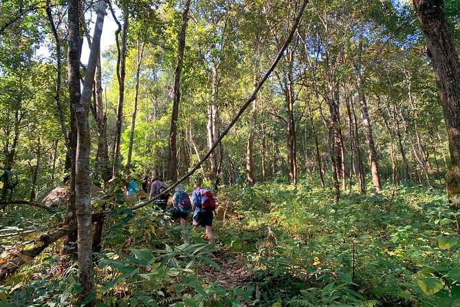 3-Day Chiang Dao Mountain Trek - How hard is it, really? Fitness, pace, and smart knee care