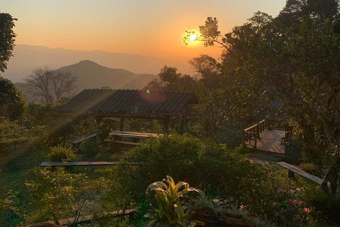 3-Day Chiang Dao Mountain Trek - Who this trek is best for (and who should skip it)