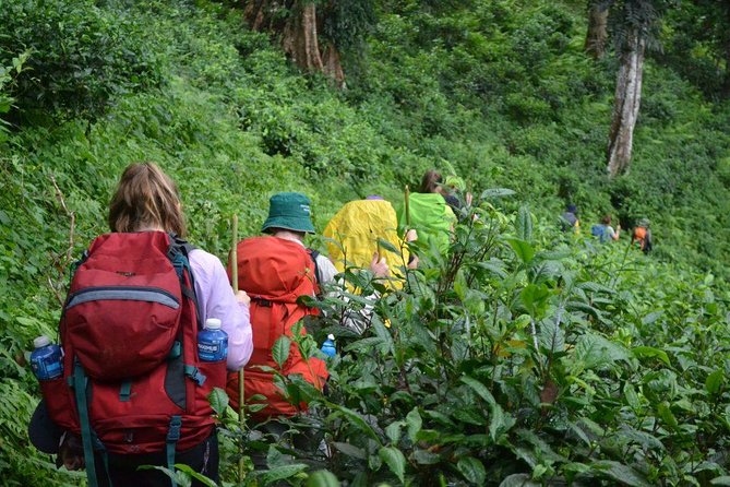3-Day Chiang Dao Mountain Trek - Price and value: what $256 covers (and why it matters on a trek)