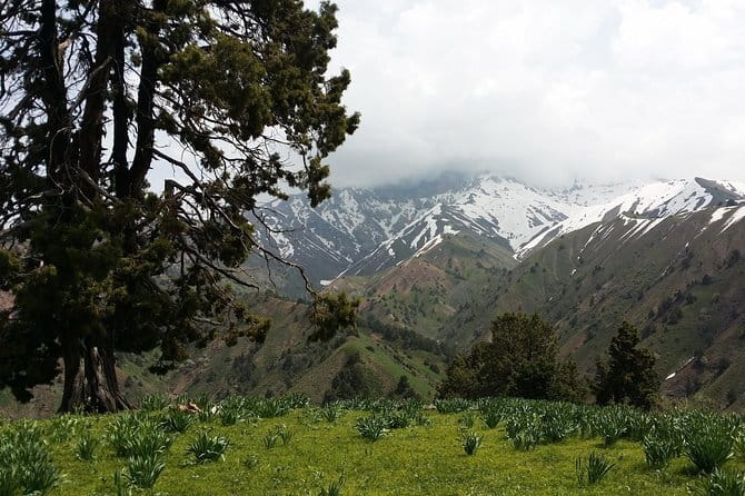3-Day Chimgan Trekking Tour - From Tashkent to Chimgan: transfers, timing, and how the day starts