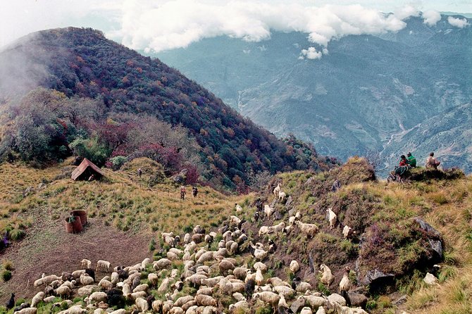3-Day Ghandruk Loop Trek from Pokhara - Why Pothana is worth the work: ridge views and mountain focus