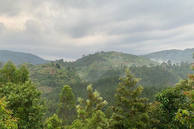 3 Day Gorilla Trek at Bwindi National Park via Kigali - Small group comfort and the Bamboo Ecotours team vibe