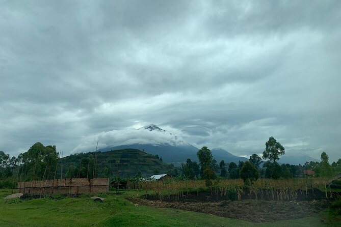 3 Day Gorilla Trek at Bwindi National Park via Kigali - Practical tips you’ll be glad you bring