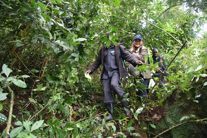 3-Day Gorilla Trekking safari in Bwindi Impenetrable Forest - Price and value: what $1,900 buys you (and what it doesn’t)