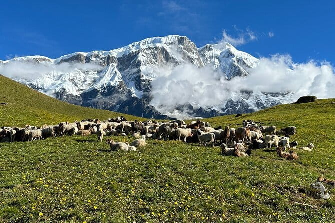 3 Day Kapuche Glacier Lake Trek with Siklesh from Pokhara - Price and value: what US$195 typically buys you