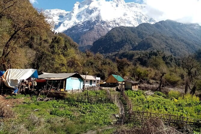 3 Day Kapuche Glacier Lake Trek with Siklesh from Pokhara - Fitness level and pacing: who this trek fits best