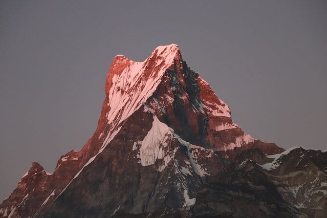 3 Day Mardi Himal Base Camp Trek from Pokhara - Day 1 to Forest Camp: Pothana forest walking and the quiet trail feel