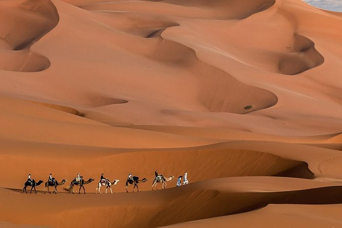 3 Day Marrakech to Fes desert Tour - Camel Trek - Who should book this camel trek, and who might skip it
