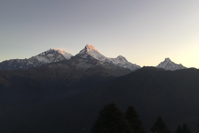 3-Day Poon Hill Trek from Pokhara. - The Tea House Style: Comfort, Culture, and Real-Time Fuel