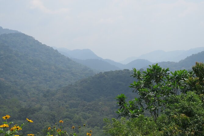 3 -Day Private Gorilla Trekking Safari in Bwindi Forest - Practical Planning Tips: Packing, Fitness, Permits, and Peak-Season Reality