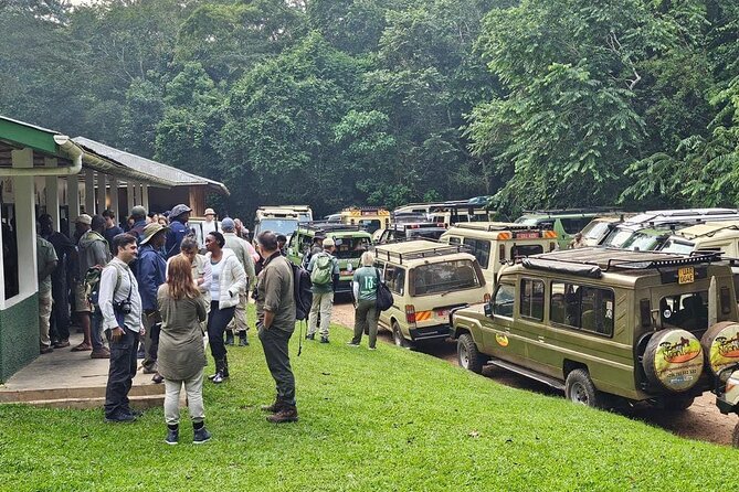 3-Day Private Guided Gorilla Trekking In Uganda - Overnight near Bwindi: Mahogany Springs, Four Gorillas Lodge, and more