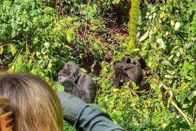 3-Day Private Guided Gorilla Trekking Uganda and Batwa Experience - Day 1: Kampala/Entebbe to Bwindi, Equator Photos, and a Real Route Change