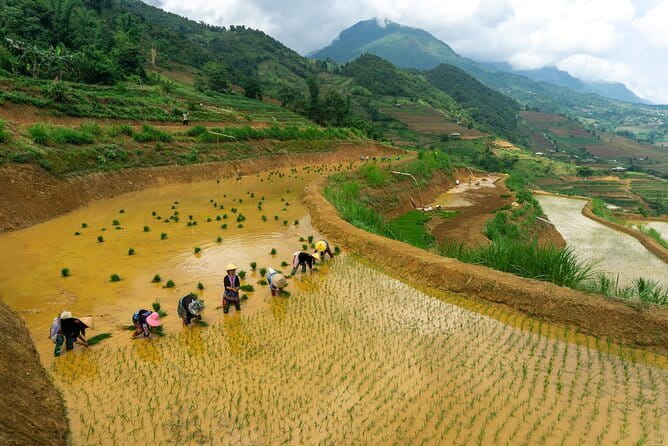3-Day Sapa Trek, visit Fansipan (cable car) from Hanoi with local - Comfort, Pace, and the Small Group Advantage (Max 15)