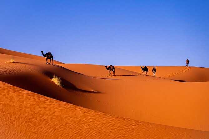 3-Day Shared Tour to Merzouga: Sahara Magic & Camel Trek - Key points to know before you go