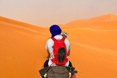 3-Day Shared Tour to Merzouga: Sahara Magic & Camel Trek - Todra Gorge inside the canyon: the short walk that leaves an impact