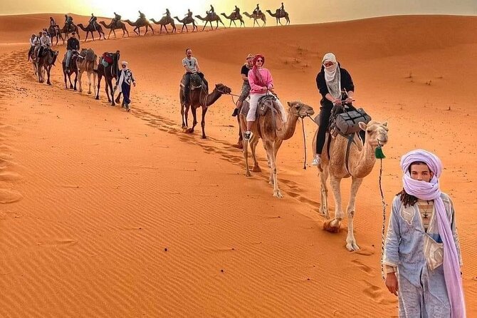 3-Day Shared Tour to Merzouga: Sahara Magic & Camel Trek - Price and logistics: what you’re really paying for at $127.96