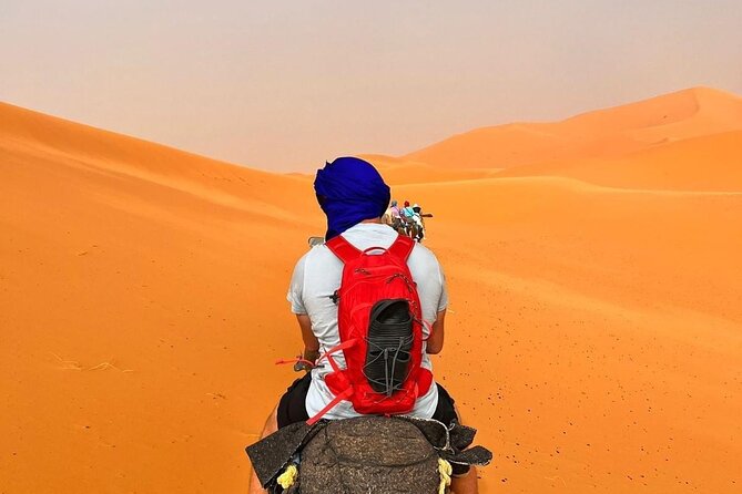 3-Day Shared Tour to Merzouga: Sahara Magic & Camel Trek - Todra Gorge inside the canyon: the short walk that leaves an impact