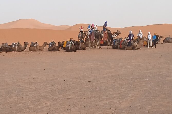 3-Day Tour to Merzouga Erg Chebbi visiting villages & Camel trek - Skoura and Dades Valley: palms, gorges, and river timing