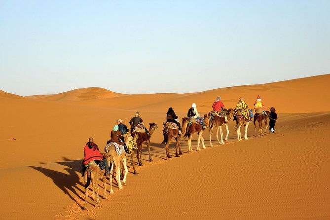 3-Day Tour to Merzouga Erg Chebbi with Food & Camel Trek - Day two: Road of 1,000 Kasbahs, Todra Gorge, and Rissani