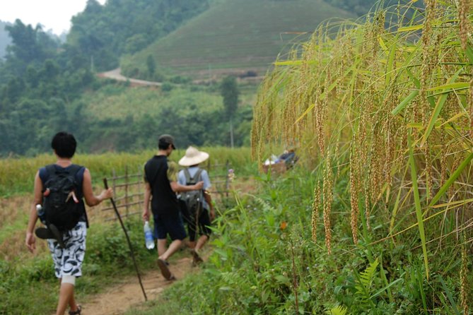 3-Day Trek in Amazing Muong Hoa Valley & ethnic Homestay - Getting started in Sapa: meeting point and pickup rhythm