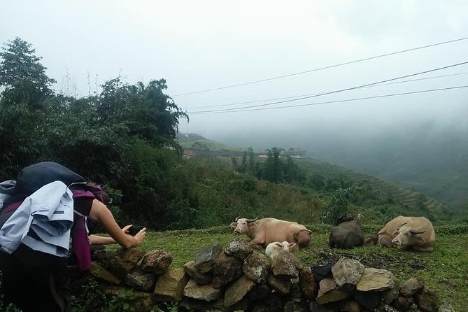 3-Day Trek in Amazing Muong Hoa Valley & ethnic Homestay - Pace, group size, and what your body needs to handle