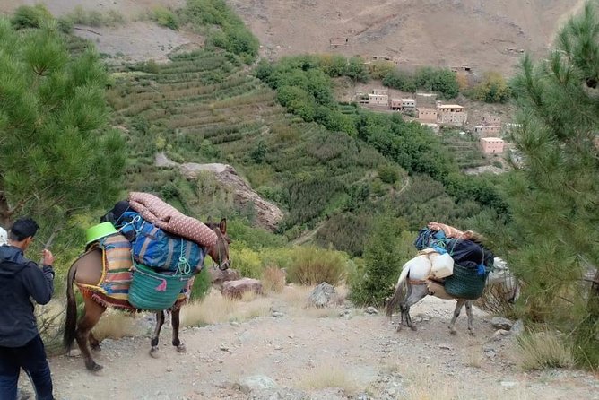 3 Day Trek in the Atlas Mountains and Berber Villages from Marrakech - Day 1: Imlil, mint tea at a Berber home, then Tizi n’ Tamatert to Tachddirt