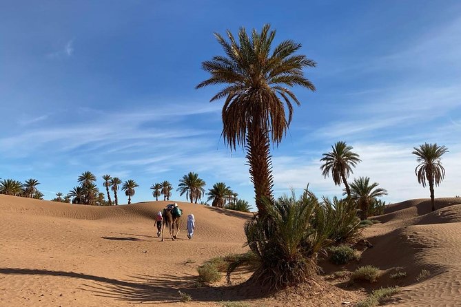 3-day trek - In the shade of palm trees - Key highlights to know before you go