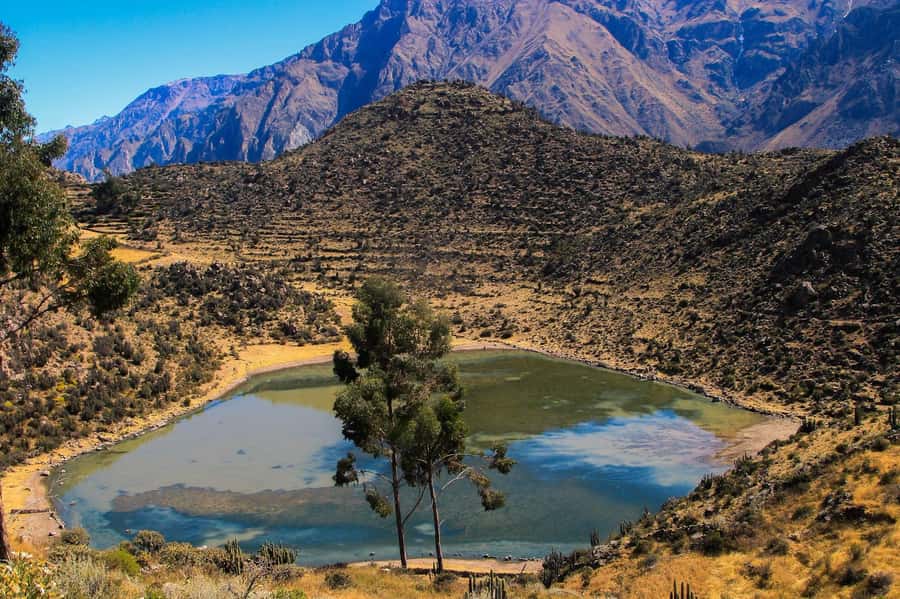 3-day trek to the Colca Canyon from Arequipa ending in Puno - Key points to know before you go