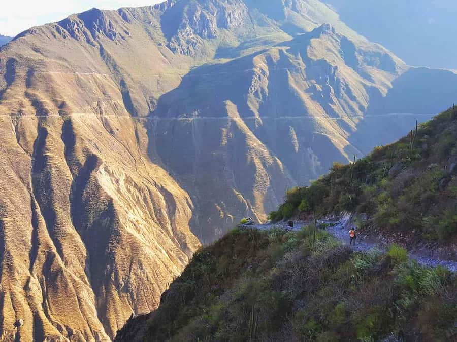 3-day trek to the Colca Canyon from Arequipa ending in Puno - Colca Canyon to Puno: what makes this route worth your time