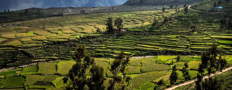 3-day trek to the Colca Canyon from Arequipa ending in Puno - How tough is it, and what to pack for real comfort