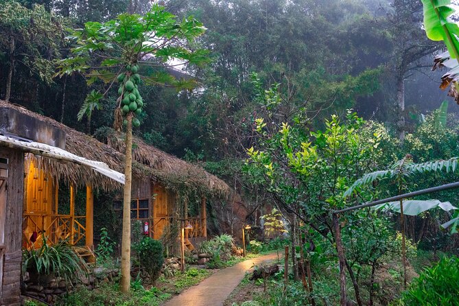 3-Day Trekking Adventure of Sapa from Hanoi - Stay Ta Van Village - Why Ta Van Makes This Trek Feel Like a Real Stay