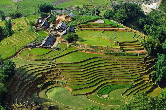 3-Day Trekking Adventure of Sapa from Hanoi - Stay Ta Van Village - Day 1: Y Linh Ho to Ta Van Village Through Rice Terraces