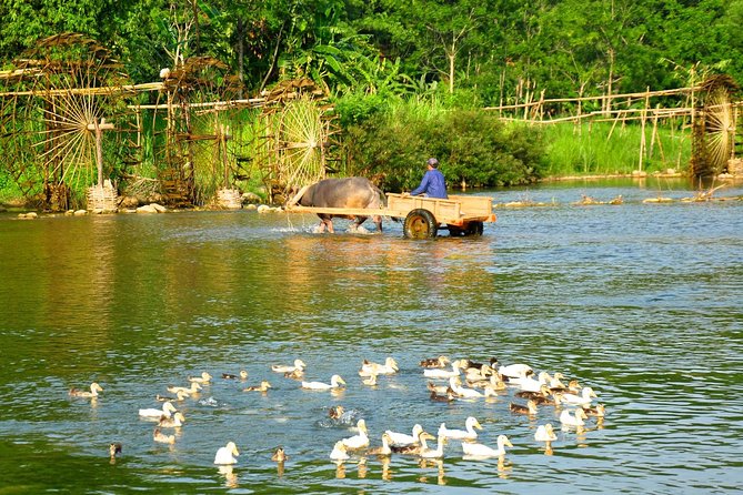 3-Day Trekking In Pu Luong Nature Reserve Private Tour - Pu Luong Trekking With Door-to-Door Hanoi Pickup: What You’re Signing Up For