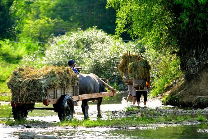 3-Day Trekking In Pu Luong Nature Reserve Private Tour - Day 1: Mai Chau Pass Views, Then a 7 km Pu Luong Forest Hike