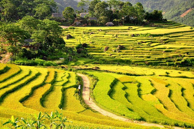 3-Day Trekking In Pu Luong Nature Reserve Private Tour - Homestays in a Stilt House: Where the Experience Gets Human