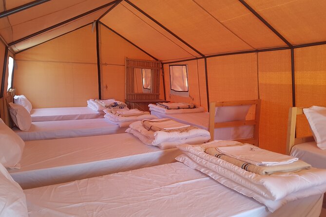 3-Day Tunisia Sahara Desert Camel Trek from Douz - Sahara Desert From Douz: What the 9:00 AM Start Really Means