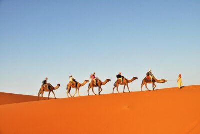 3-Day Tunisia Sahara Desert Camel Trek from Douz - Day 2 Sunrise Ride to Sunset Dunes: Bedouin Lunch and That Big Sky Moment